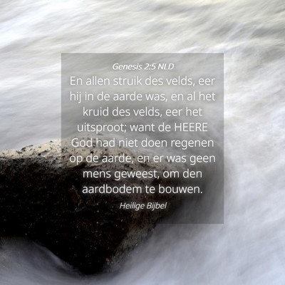 Picture 04 - Genesis 2:5 NLD - En allen struik des velds, eer hij in de aarde - Bible Verse Picture