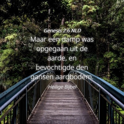 Picture 04 - Genesis 2:6 NLD - Maar een damp was opgegaan uit de aarde, en - Bible Verse Picture