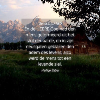Picture 04 - Genesis 2:7 NLD - En de HEERE God had den mens geformeerd uit het - Bible Verse Picture