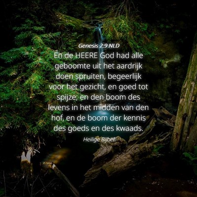 Picture 04 - Genesis 2:9 NLD - En de HEERE God had alle geboomte uit het - Bible Verse Picture