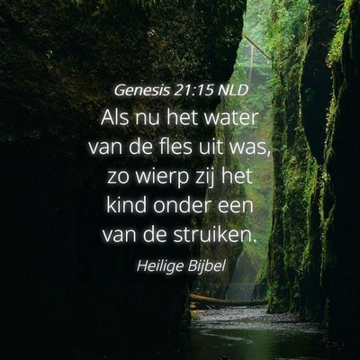 Picture 04 - Genesis 21:15 NLD - Als nu het water van de fles uit was, zo wierp - Bible Verse Picture