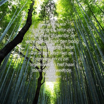 Picture 04 - Genesis 21:16 NLD - En zij ging en zette zich tegenover, afgaande zo - Bible Verse Picture