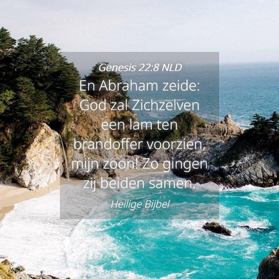 Picture 04 - Genesis 22:8 NLD - En Abraham zeide: God zal Zichzelven een lam ten - Bible Verse Picture