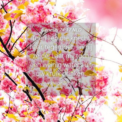 Picture 04 - Genesis 24:17 NLD - Toen liep die knecht haar tegemoet, en hij zeide: - Bible Verse Picture