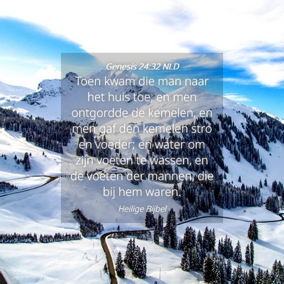 Picture 04 - Genesis 24:32 NLD - Toen kwam die man naar het huis toe, en men - Bible Verse Picture