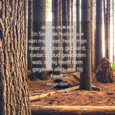Picture 04 - Genesis 24:36 NLD - En Sara, de huisvrouw van mijn heer, heeft mijn - Bible Verse Picture