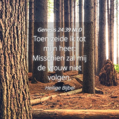 Picture 04 - Genesis 24:39 NLD - Toen zeide ik tot mijn heer: Misschien zal mij de - Bible Verse Picture