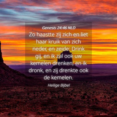 Picture 04 - Genesis 24:46 NLD - Zo haastte zij zich en liet haar kruik van zich - Bible Verse Picture