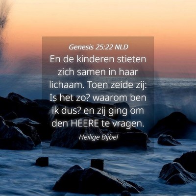 Picture 04 - Genesis 25:22 NLD - En de kinderen stieten zich samen in haar - Bible Verse Picture