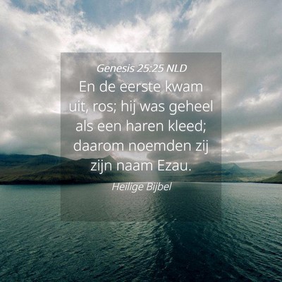 Picture 04 - Genesis 25:25 NLD - En de eerste kwam uit, ros; hij was geheel als - Bible Verse Picture