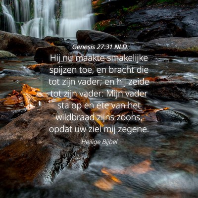 Picture 04 - Genesis 27:31 NLD - Hij nu maakte smakelijke spijzen toe, en bracht - Bible Verse Picture