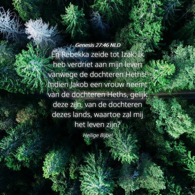Picture 04 - Genesis 27:46 NLD - En Rebekka zeide tot Izak: Ik heb verdriet aan - Bible Verse Picture