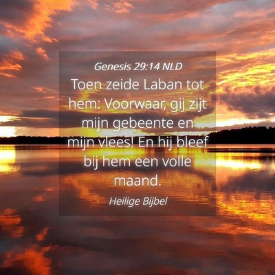 Picture 04 - Genesis 29:14 NLD - Toen zeide Laban tot hem: Voorwaar, gij zijt mijn - Bible Verse Picture