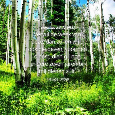 Picture 04 - Genesis 29:27 NLD - Vervul de week van deze; dan zullen wij u ook die - Bible Verse Picture