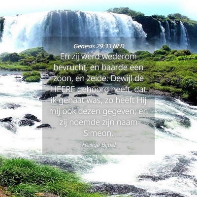 Picture 04 - Genesis 29:33 NLD - En zij werd wederom bevrucht, en baarde een zoon, - Bible Verse Picture