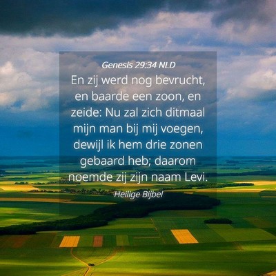 Picture 04 - Genesis 29:34 NLD - En zij werd nog bevrucht, en baarde een zoon, en - Bible Verse Picture