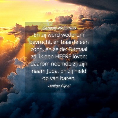 Picture 04 - Genesis 29:35 NLD - En zij werd wederom bevrucht, en baarde een zoon, - Bible Verse Picture