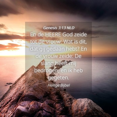 Picture 04 - Genesis 3:13 NLD - En de HEERE God zeide tot de vrouw: Wat is dit, - Bible Verse Picture