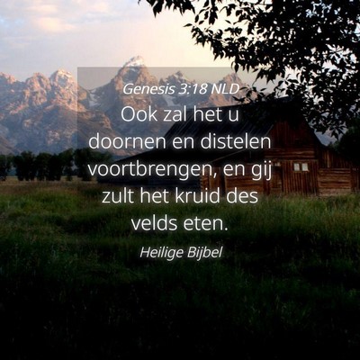 Picture 04 - Genesis 3:18 NLD - Ook zal het u doornen en distelen voortbrengen, - Bible Verse Picture