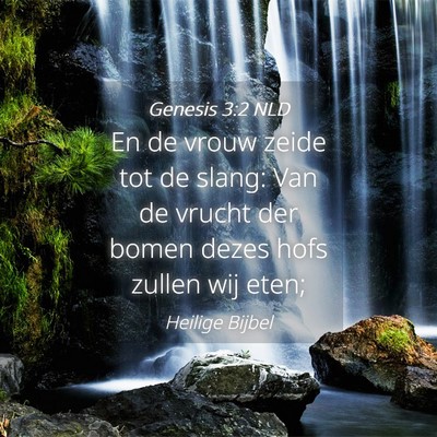 Picture 04 - Genesis 3:2 NLD - En de vrouw zeide tot de slang: Van de vrucht der - Bible Verse Picture
