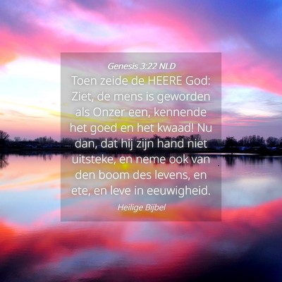 Picture 04 - Genesis 3:22 NLD - Toen zeide de HEERE God: Ziet, de mens is - Bible Verse Picture