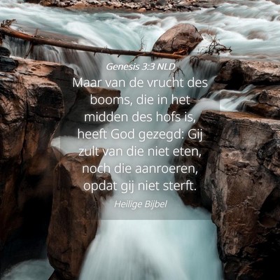 Picture 04 - Genesis 3:3 NLD - Maar van de vrucht des booms, die in het midden - Bible Verse Picture