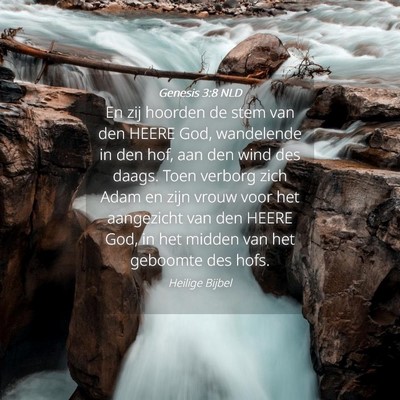 Picture 04 - Genesis 3:8 NLD - En zij hoorden de stem van den HEERE God, - Bible Verse Picture