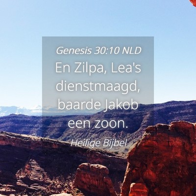 Picture 04 - Genesis 30:10 NLD - En Zilpa, Lea's dienstmaagd, baarde Jakob een - Bible Verse Picture