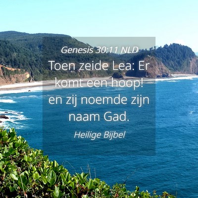 Picture 04 - Genesis 30:11 NLD - Toen zeide Lea: Er komt een hoop! en zij noemde - Bible Verse Picture