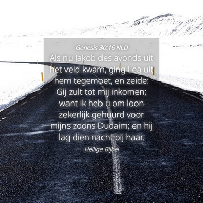 Picture 04 - Genesis 30:16 NLD - Als nu Jakob des avonds uit het veld kwam, ging - Bible Verse Picture
