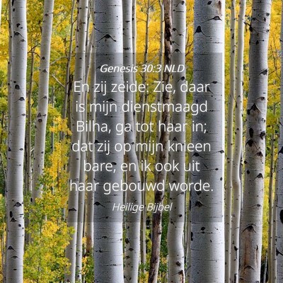 Picture 04 - Genesis 30:3 NLD - En zij zeide: Zie, daar is mijn dienstmaagd - Bible Verse Picture