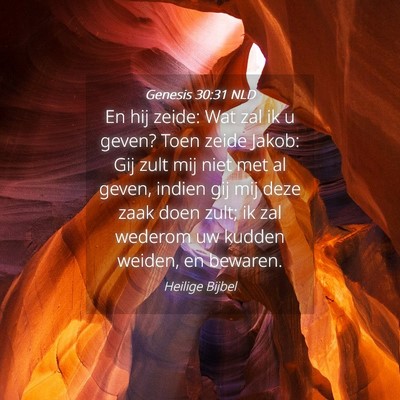Picture 04 - Genesis 30:31 NLD - En hij zeide: Wat zal ik u geven? Toen zeide - Bible Verse Picture