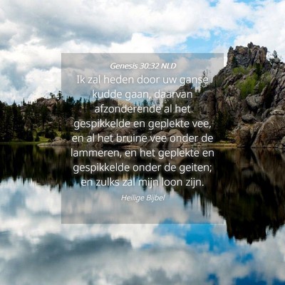 Picture 04 - Genesis 30:32 NLD - Ik zal heden door uw ganse kudde gaan, daarvan - Bible Verse Picture