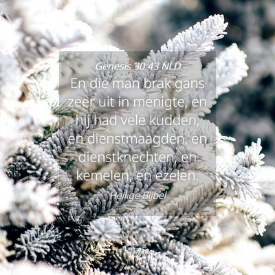 Picture 04 - Genesis 30:43 NLD - En die man brak gans zeer uit in menigte, en hij - Bible Verse Picture