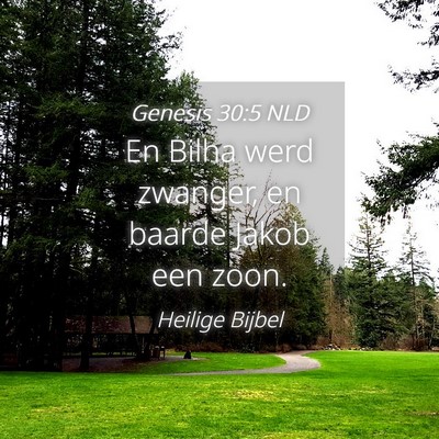 Picture 04 - Genesis 30:5 NLD - En Bilha werd zwanger, en baarde Jakob een - Bible Verse Picture