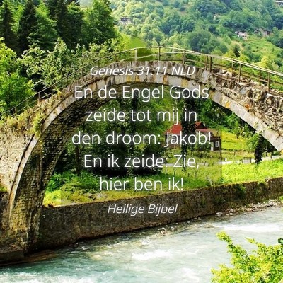 Picture 04 - Genesis 31:11 NLD - En de Engel Gods zeide tot mij in den droom: - Bible Verse Picture