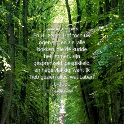 Picture 04 - Genesis 31:12 NLD - En Hij zeide: Hef toch uw ogen op, en zie! alle - Bible Verse Picture