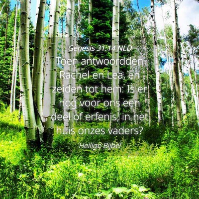 Picture 04 - Genesis 31:14 NLD - Toen antwoordden Rachel en Lea, en zeiden tot - Bible Verse Picture