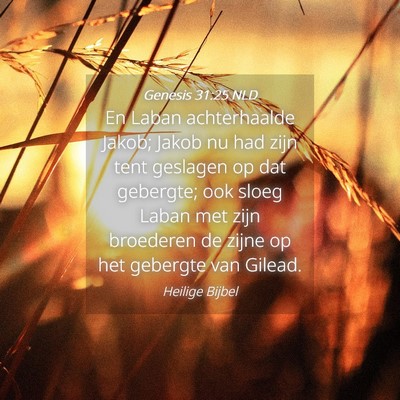 Picture 04 - Genesis 31:25 NLD - En Laban achterhaalde Jakob; Jakob nu had zijn - Bible Verse Picture