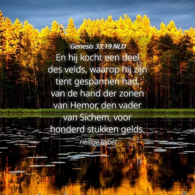 Picture 04 - Genesis 33:19 NLD - En hij kocht een deel des velds, waarop hij zijn - Bible Verse Picture