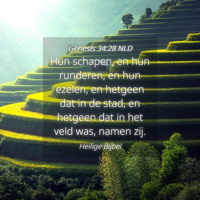 Picture 04 - Genesis 34:28 NLD - Hun schapen, en hun runderen, en hun ezelen, en - Bible Verse Picture