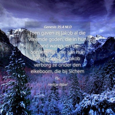 Picture 04 - Genesis 35:4 NLD - Toen gaven zij Jakob al die vreemde goden, die in - Bible Verse Picture