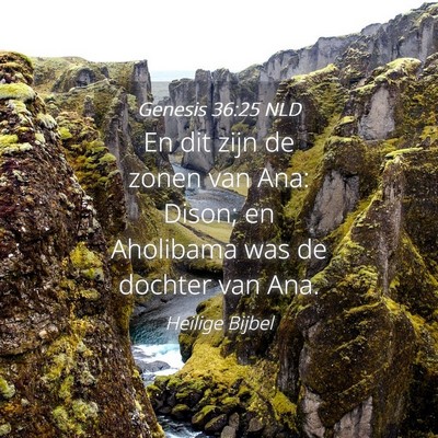Picture 04 - Genesis 36:25 NLD - En dit zijn de zonen van Ana: Dison; en Aholibama - Bible Verse Picture
