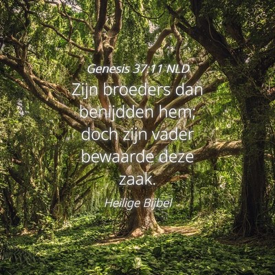 Picture 04 - Genesis 37:11 NLD - Zijn broeders dan benijdden hem; doch zijn vader - Bible Verse Picture