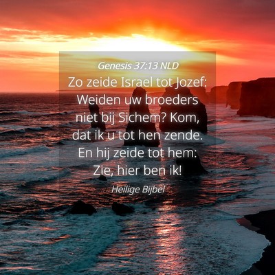 Picture 04 - Genesis 37:13 NLD - Zo zeide Israel tot Jozef: Weiden uw broeders - Bible Verse Picture