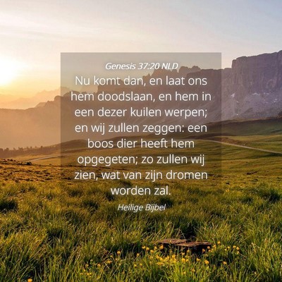 Picture 04 - Genesis 37:20 NLD - Nu komt dan, en laat ons hem doodslaan, en hem in - Bible Verse Picture