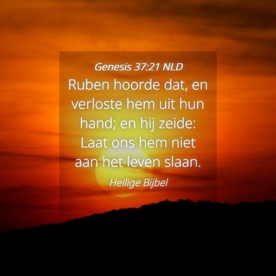 Picture 04 - Genesis 37:21 NLD - Ruben hoorde dat, en verloste hem uit hun hand; - Bible Verse Picture