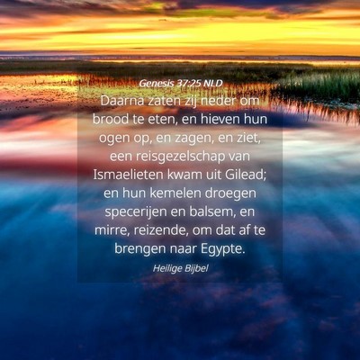 Picture 04 - Genesis 37:25 NLD - Daarna zaten zij neder om brood te eten, en - Bible Verse Picture