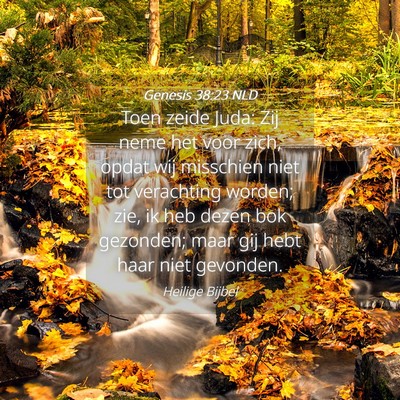 Picture 04 - Genesis 38:23 NLD - Toen zeide Juda: Zij neme het voor zich, opdat - Bible Verse Picture
