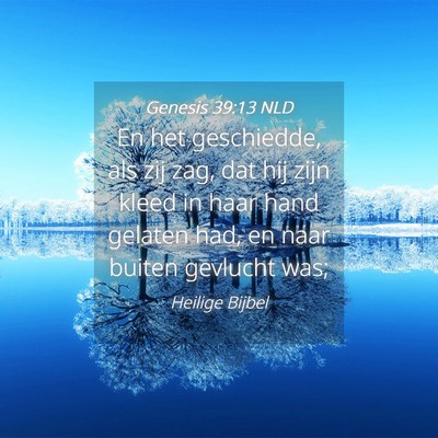 Picture 04 - Genesis 39:13 NLD - En het geschiedde, als zij zag, dat hij zijn - Bible Verse Picture